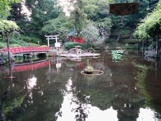 須藤公園（Sudō Park)